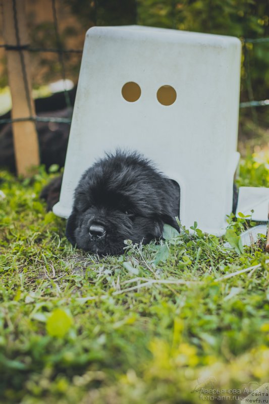 Фотография № 159017