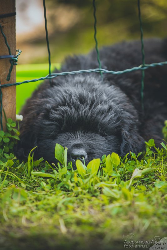 Фотография № 159019