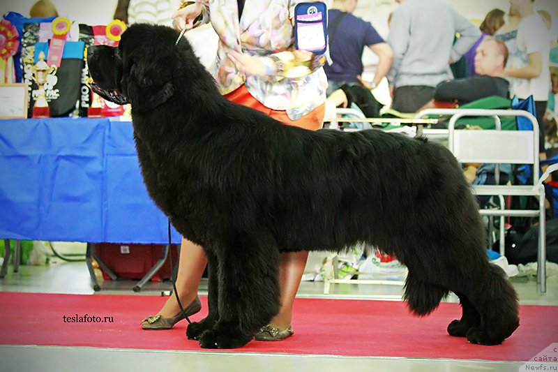 Фотография № 159127