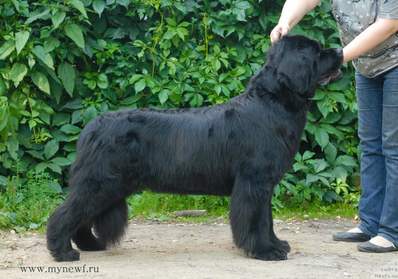 Фотография № 159175