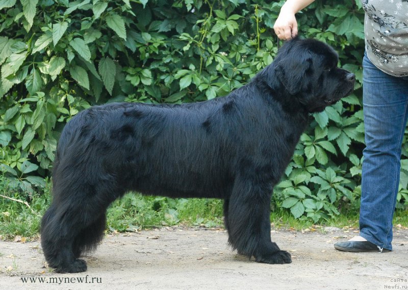 Фотография № 159176