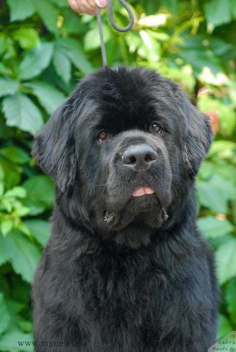 Фотография № 159177