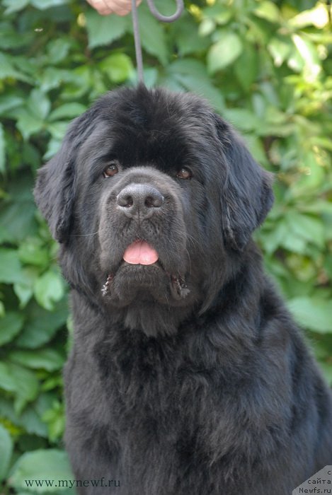 Фотография № 159179