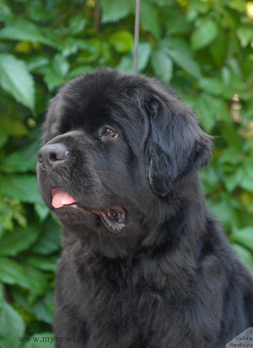 Фотография № 159181