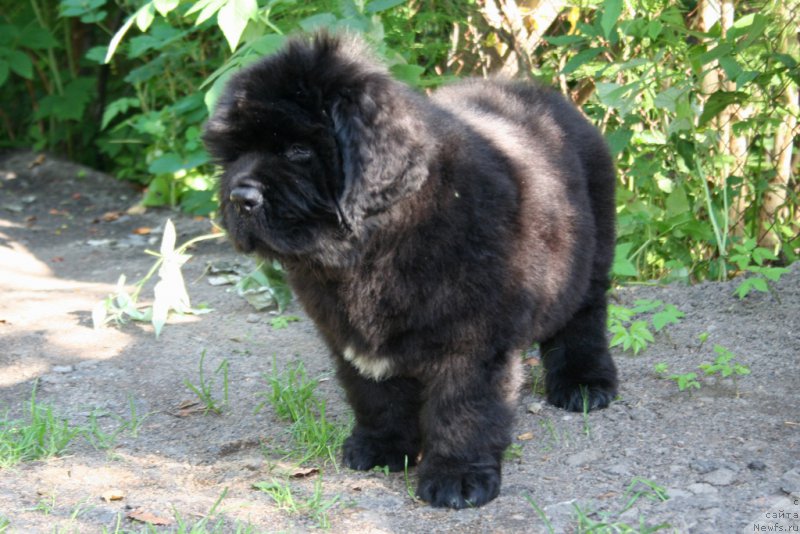 Фотография № 159198