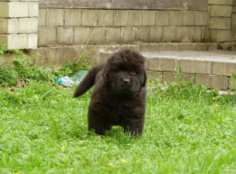 Фотография № 159235