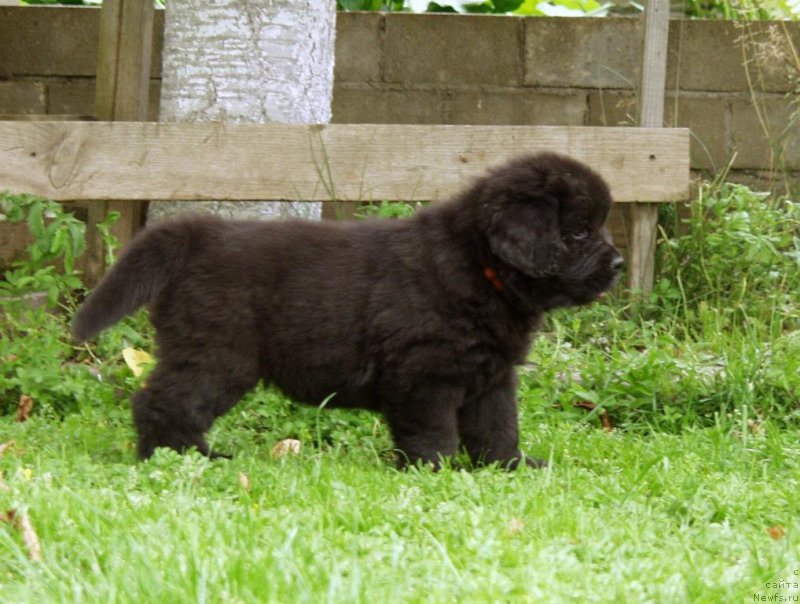 Фотография № 159236