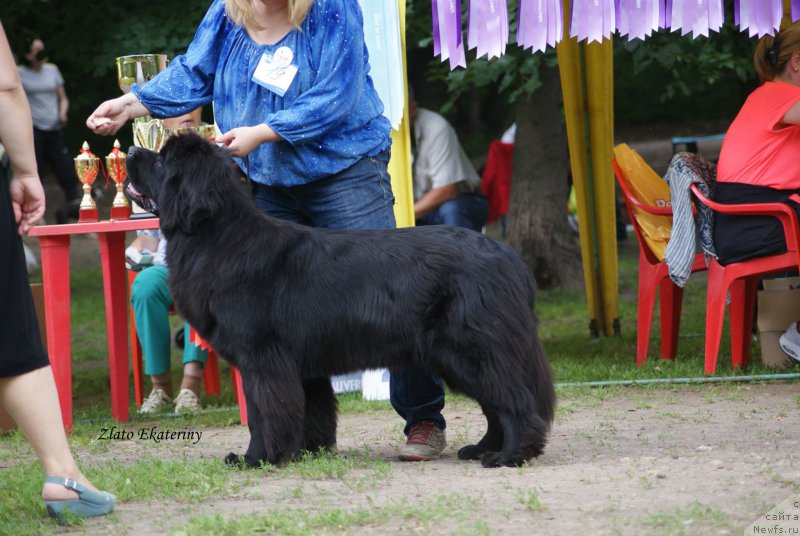 Фотография № 159246