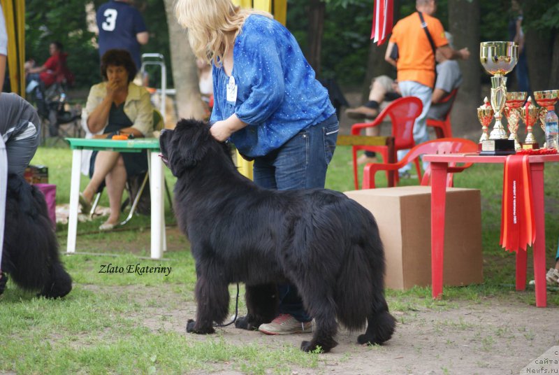 Фотография № 159248