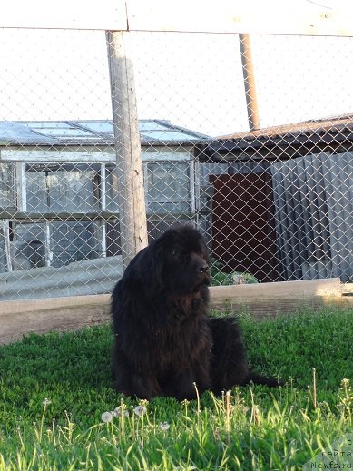 Фотография № 159252