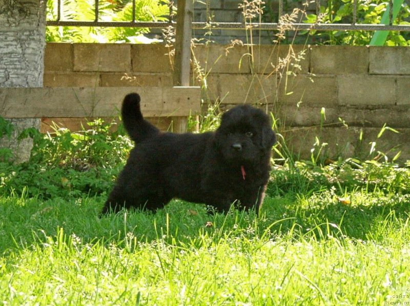 Фотография № 159281