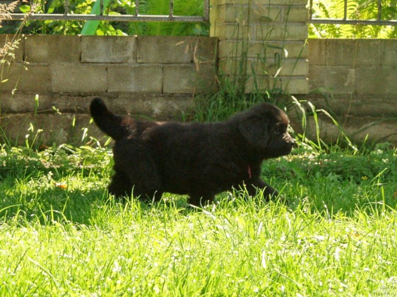 Фотография № 159282