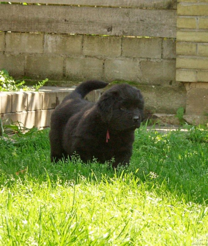 Фотография № 159283