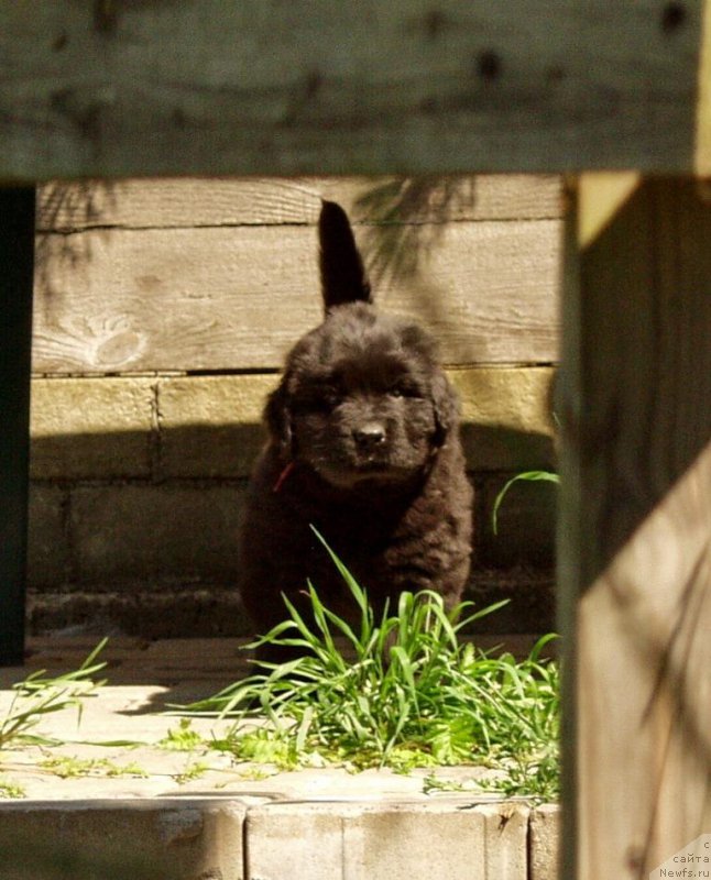 Фотография № 159284