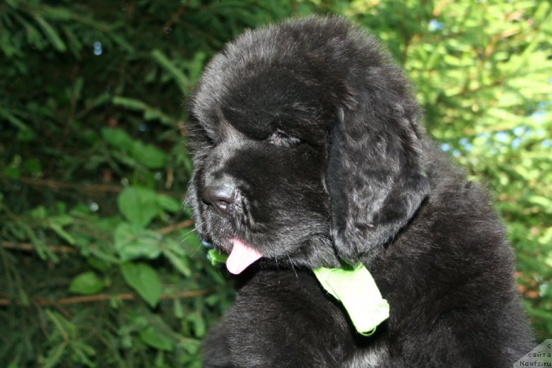 Фотография № 159304