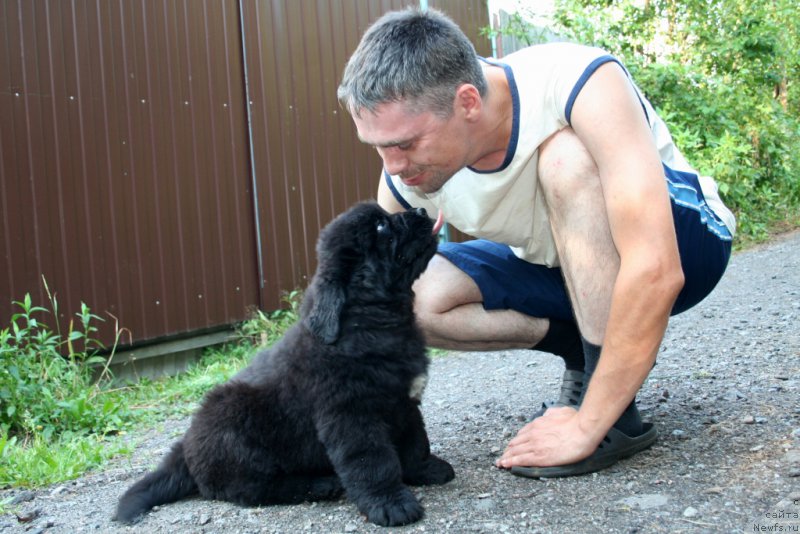 Фотография № 159313