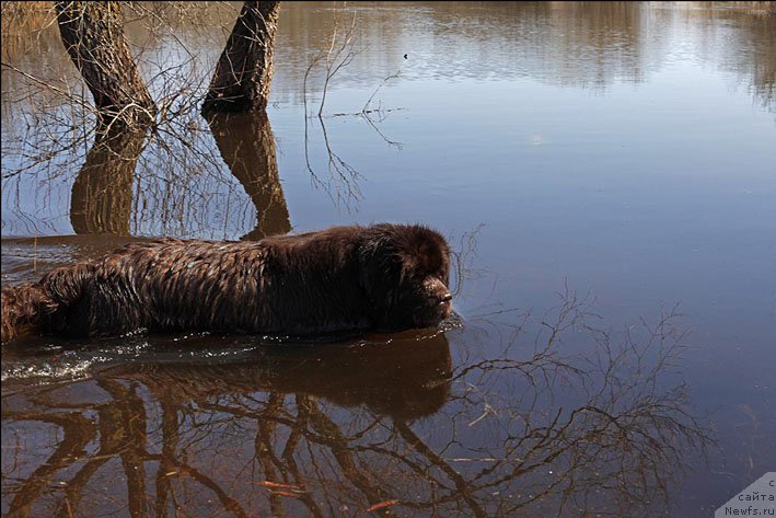 Фотография № 159331