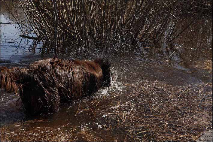 Фотография № 159332