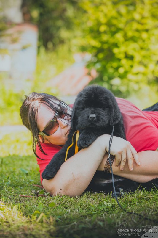 Фотография № 159334