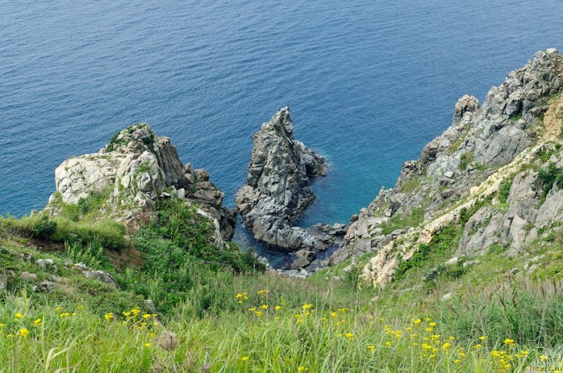 Фотография № 159349