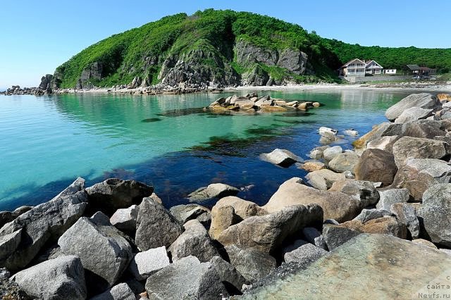 Фотография № 159353