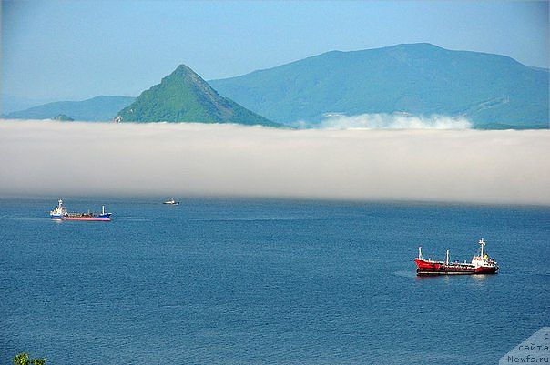 Фотография № 159354