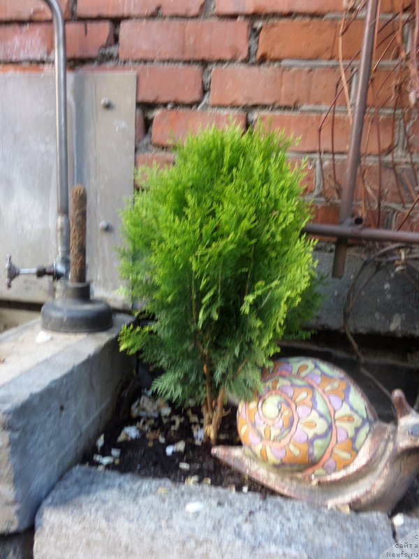 Фото: Sergey Jukov (Сергей Жуков)