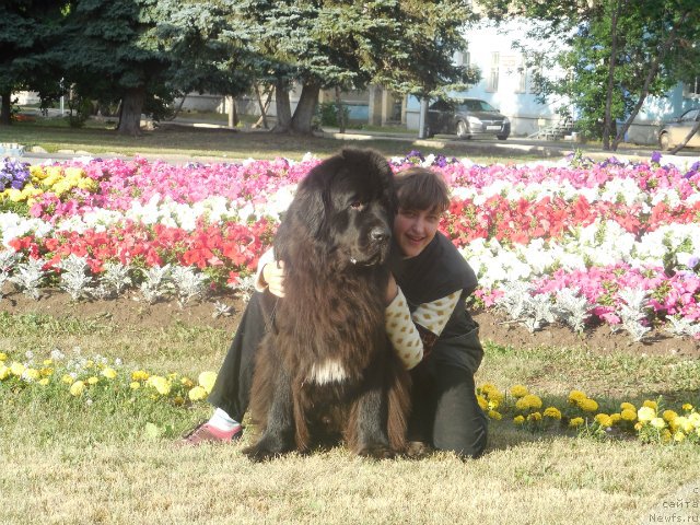 Фото: Ol'ga Ivanova (Ольга Иванова), ньюфаундленд Kiper Soul Layon Hyeert (Кипер Соул Лайон Хэерт)