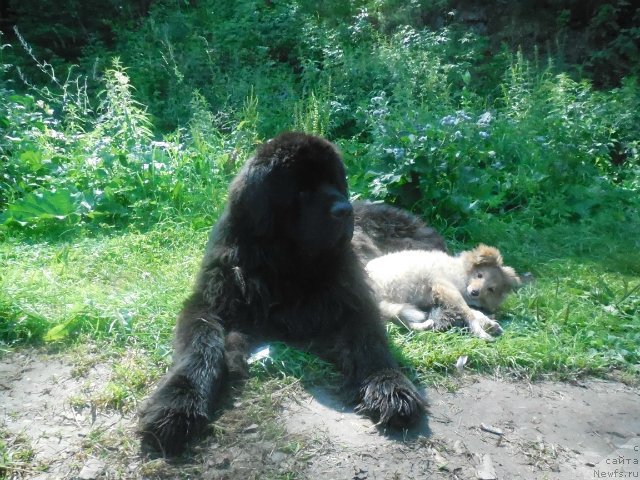 Фотография № 159417