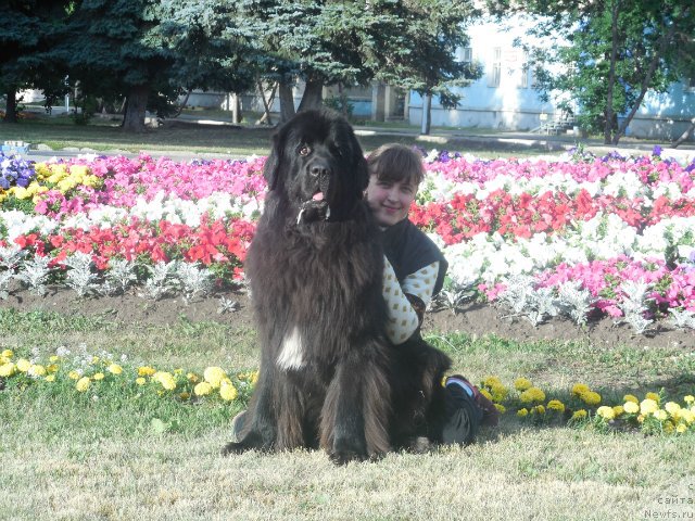 Фотография № 159418