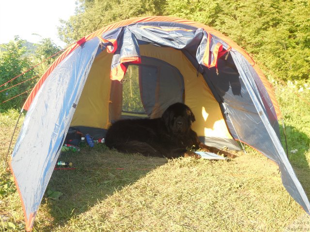 Фотография № 159422