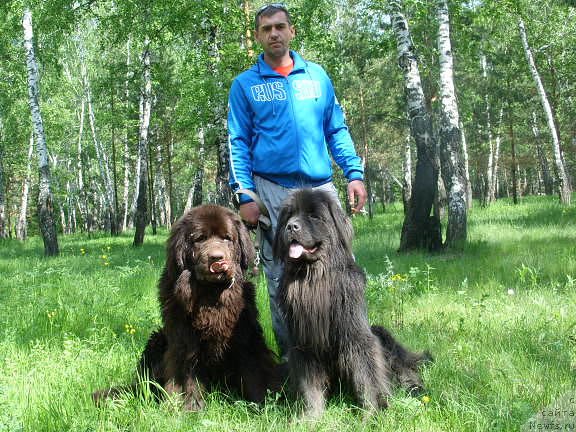 Фото: ньюфаундленд CHernyiy SHarm Amber Best Dog FO Marleon (Черный Шарм Амбер Бест Дог ФО Марлеон), ньюфаундленд Akvamarinovaya Krasotka dlya Marleon (Аквамариновая Красотка для Марлеон)