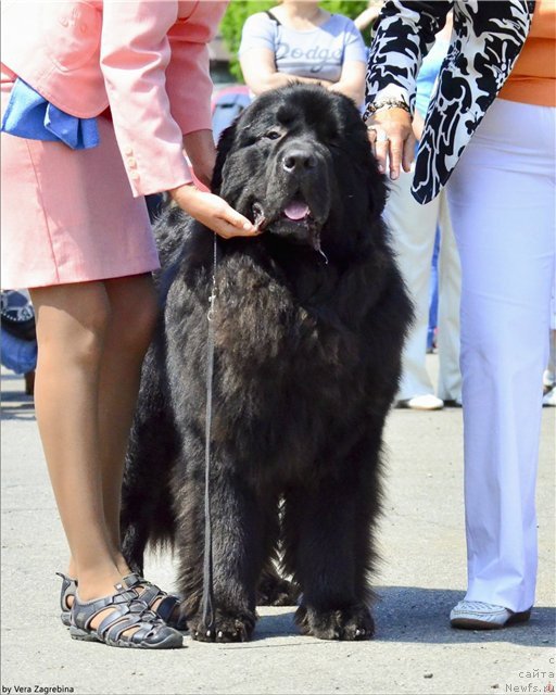 Фотография № 159426