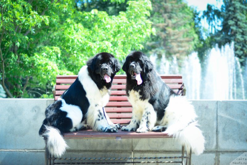 Фотография № 159454