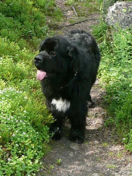 Фотография № 159463