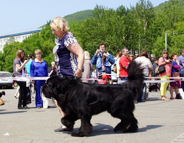 Фотография № 159493