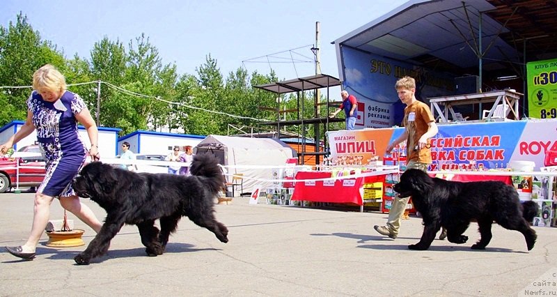 Фотография № 159496