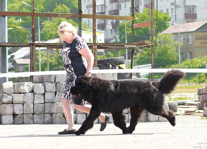 Фотография № 159506