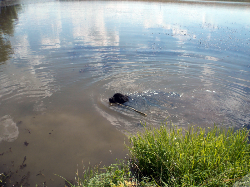 Фотография № 159563