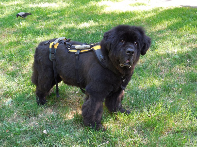 Фотография № 159587