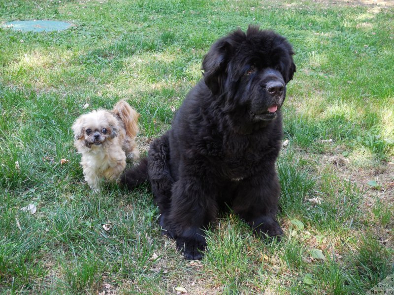 Фотография № 159590