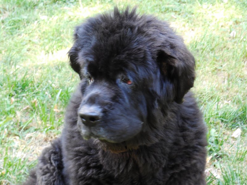 Фотография № 159591