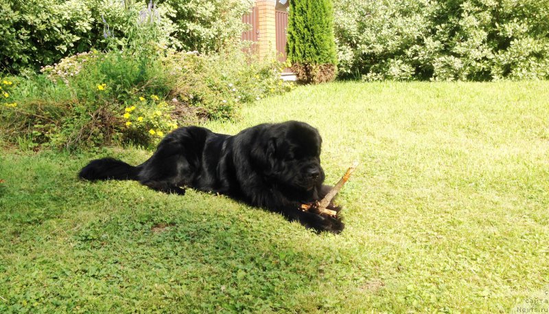 Фотография № 159609