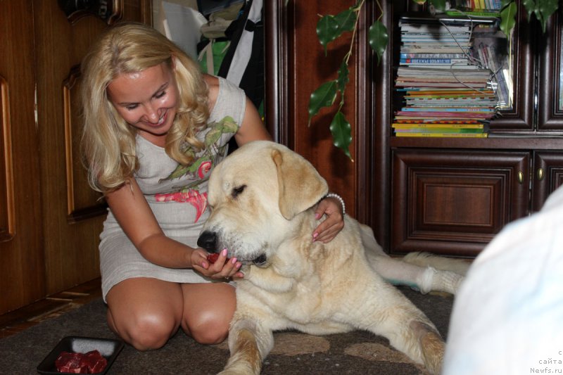 Фотография № 159614