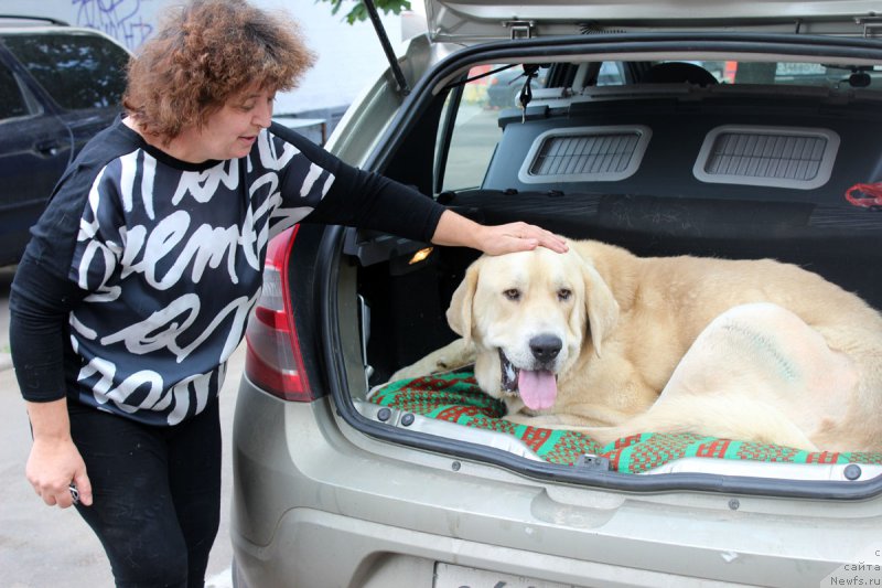 Фотография № 159619