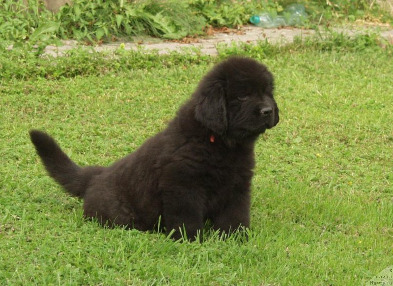 Фото: Viktor Hrischanovich (Виктор Хрищанович)