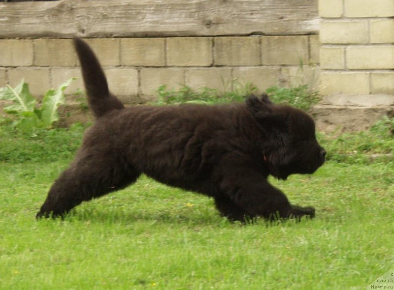 Фото: Viktor Hrischanovich (Виктор Хрищанович)