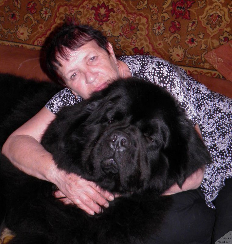 Фотография № 159645