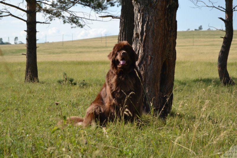 Фотография № 159707