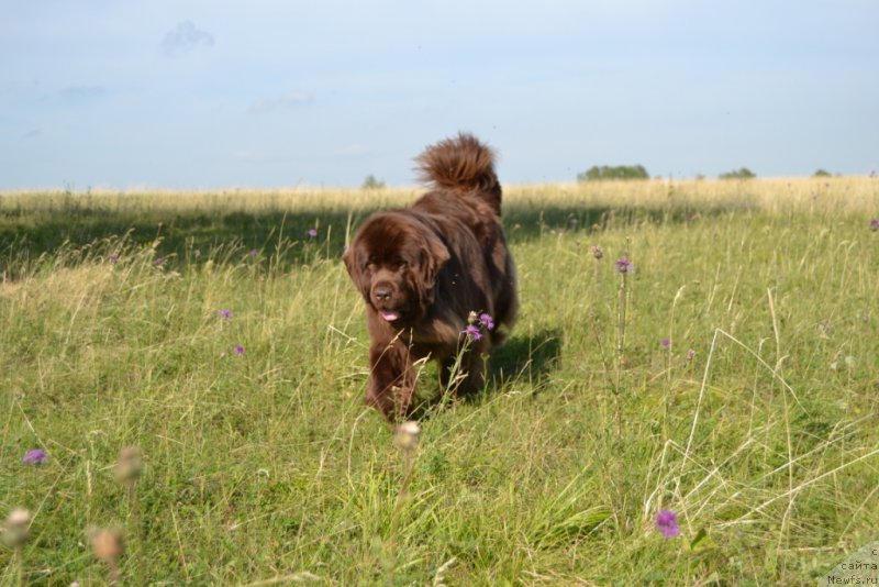 Фотография № 159708